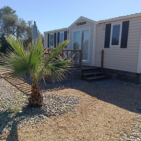 モンカラパッショ Quinta Pereiro Tropic Garden, Algarve Bed & Breakfast エクステリア 写真