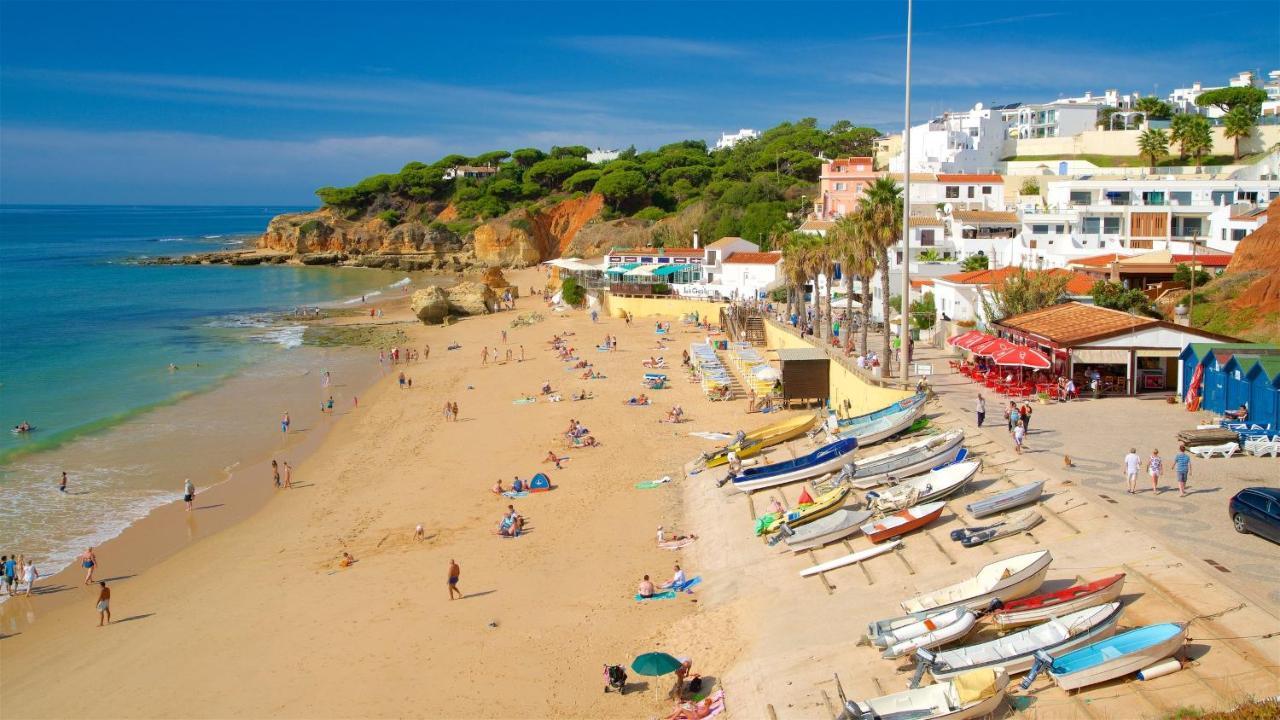 モンカラパッショ Quinta Pereiro Tropic Garden, Algarve Bed & Breakfast エクステリア 写真