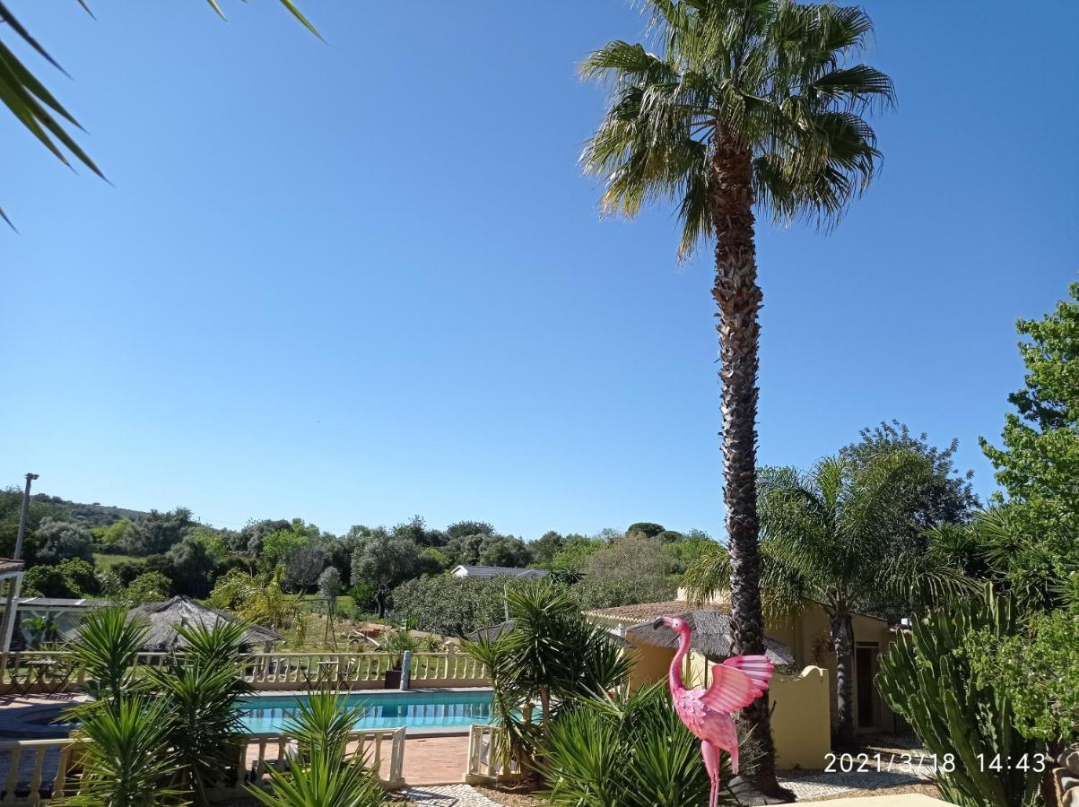 モンカラパッショ Quinta Pereiro Tropic Garden, Algarve Bed & Breakfast エクステリア 写真