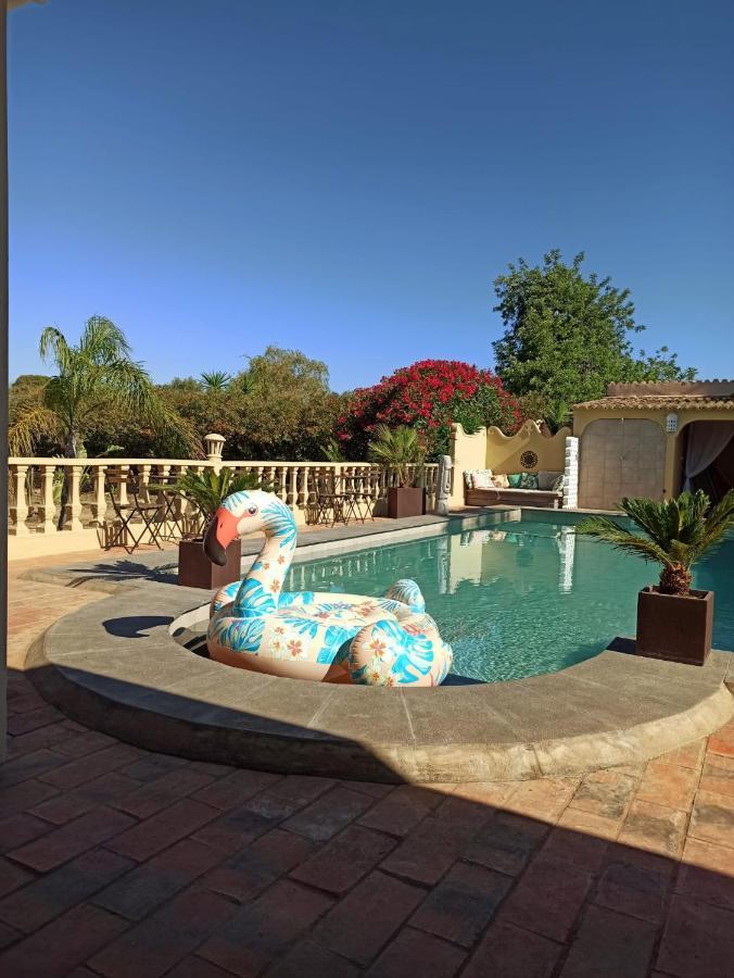 モンカラパッショ Quinta Pereiro Tropic Garden, Algarve Bed & Breakfast エクステリア 写真