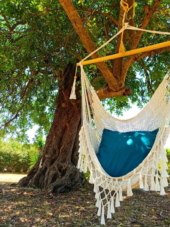 モンカラパッショ Quinta Pereiro Tropic Garden, Algarve Bed & Breakfast エクステリア 写真