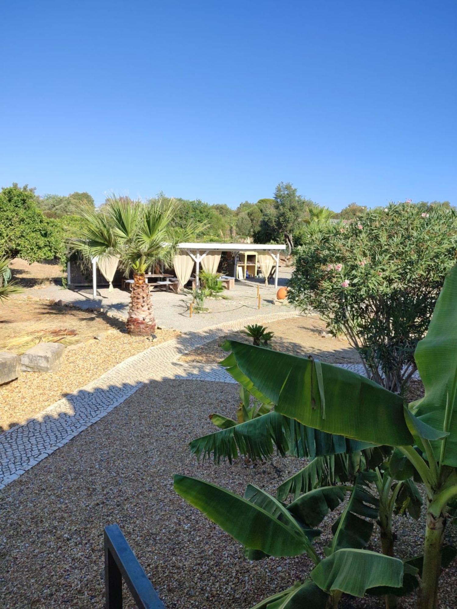 モンカラパッショ Quinta Pereiro Tropic Garden, Algarve Bed & Breakfast エクステリア 写真